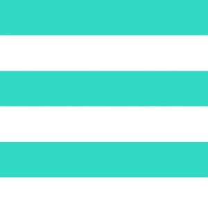 Mint Stripe Zip Pouch Wristlet