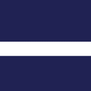 Navy Stripe Towel